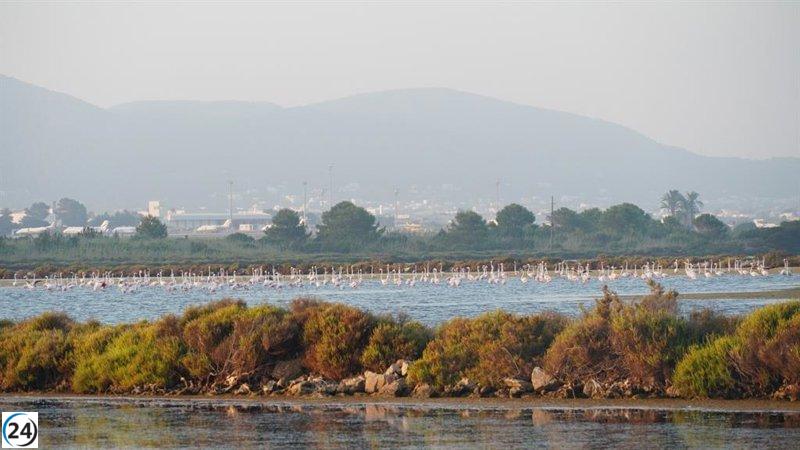 El Gobierno de Baleares establece el Fondo de Conservación del Patrimonio Natural