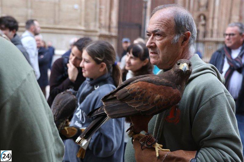 Miles de mascotas y animales celebran las 'beneïdes' por Sant Antoni en Palma.