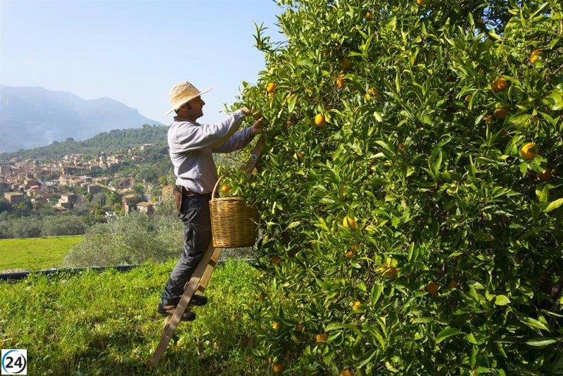 Mallorca en Fitur 2024 apuesta por un turismo sostenible, promoviendo el protagonismo del producto local.