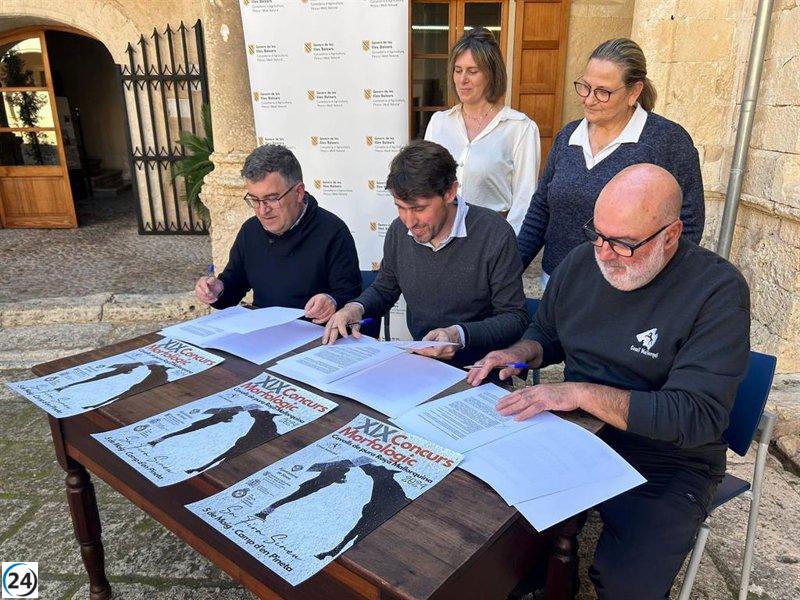 El Govern y Sineu reviven el Concurso Morfológico del Caballo Mallorquín tras 15 años
