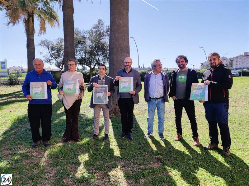 El Govern impulsa el consumo de cordero local en Semana Santa.