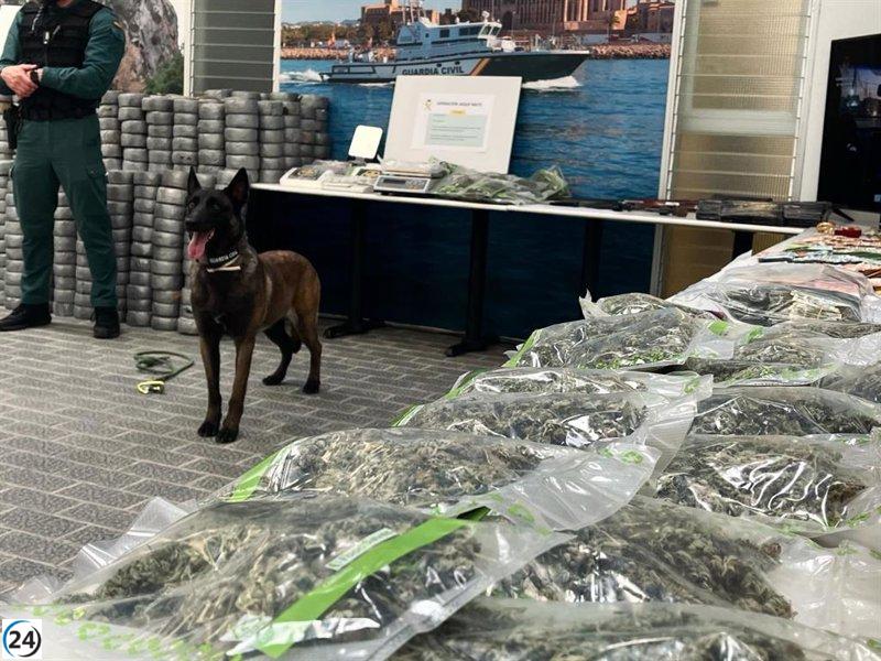 La Guardia Civil desmantela red de tráfico de cocaína con operación 'Jaque Mate'