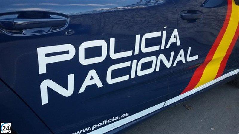 Siete detenidos por disturbios en Palma