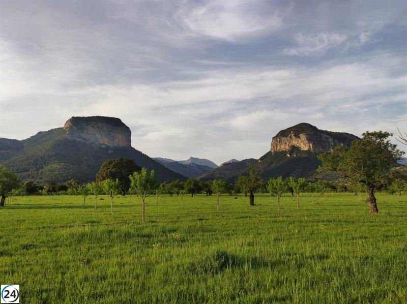 Baleares lidera en España el pago de ayudas a agricultores y ganaderos, según el FEGA.
