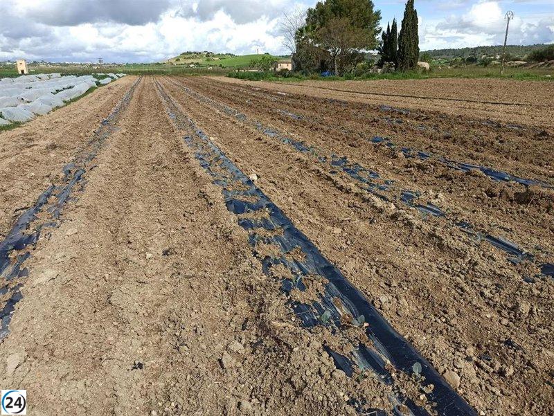 Los suelos, los olvidados de la contaminación según Apaema