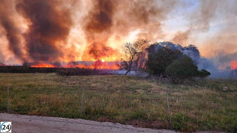 Incendio arrasa seis hectáreas de terreno en S'Albufera (Mallorca)