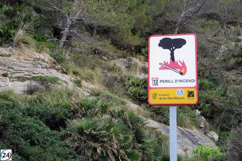 Un incendio arrasa 150 metros cuadrados de bosque en Santa Eulària.