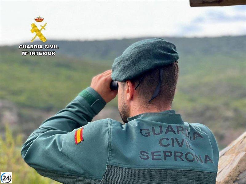Ciutadella bajo investigación por sobreexplotación ilegal de pozo