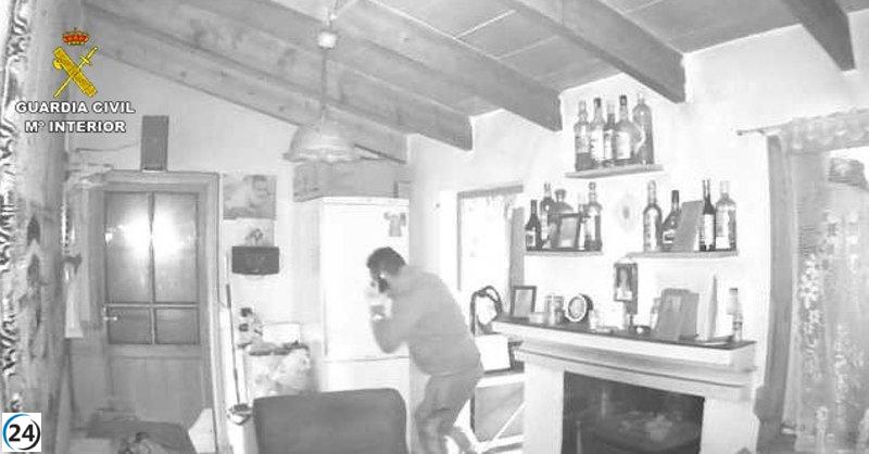 Banda de ladrones desmantelada en Mallorca.