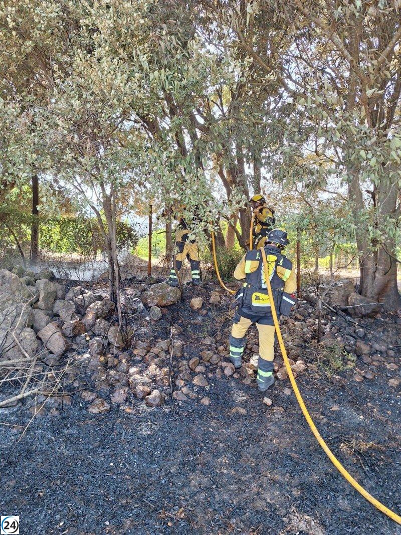 Controlado el fuego en Pollença que afectó a 1,8 hectáreas de matorral y 5 de vegetación agrícola.