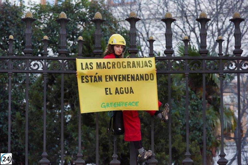 Sineu facilita la presentación de alegaciones contra la macrogranja de gallinas en Son Vanrell