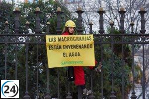 Sineu facilita la presentación de alegaciones contra la macrogranja de gallinas en Son Vanrell