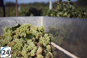 El Govern invierte 1 millón en apoyo turístico a viticultores.