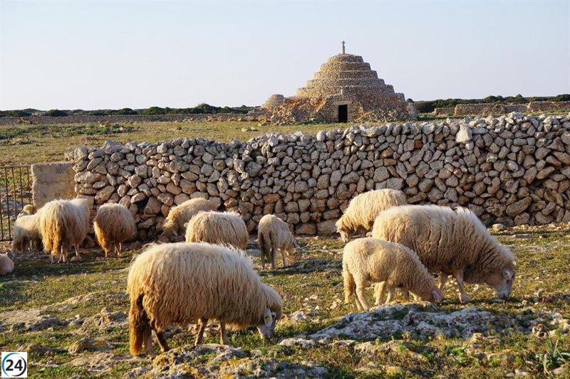 Menorca afectada por brote de lengua azul: primer caso confirmado en Ferreries