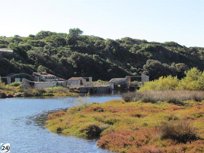El Govern se une a la campaña de limpieza europea en s'Albufera des Grau.