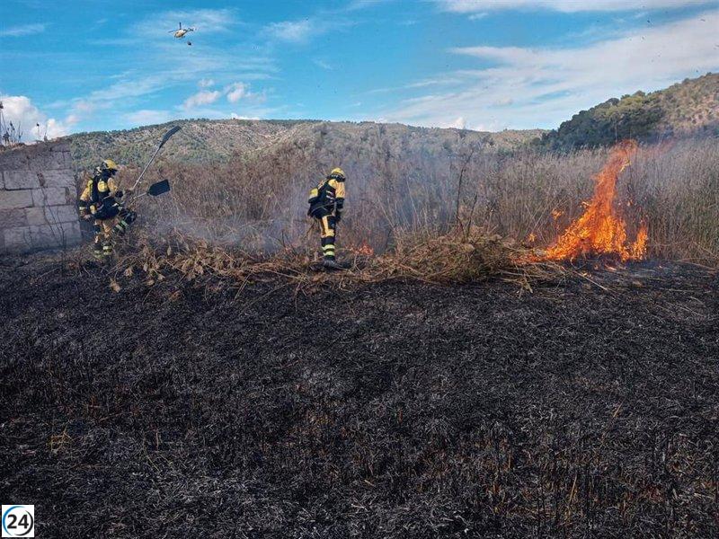 Las autoridades logran contener incendio en s'Albufera tras devastar 62 hectáreas.
