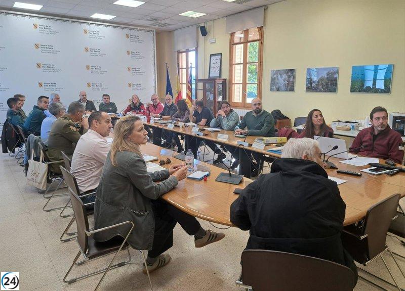El Patronato del Parque Nacional de Cabrera aboga por limitar la entrada de migrantes a la isla, resaltando su estatus de área protegida.