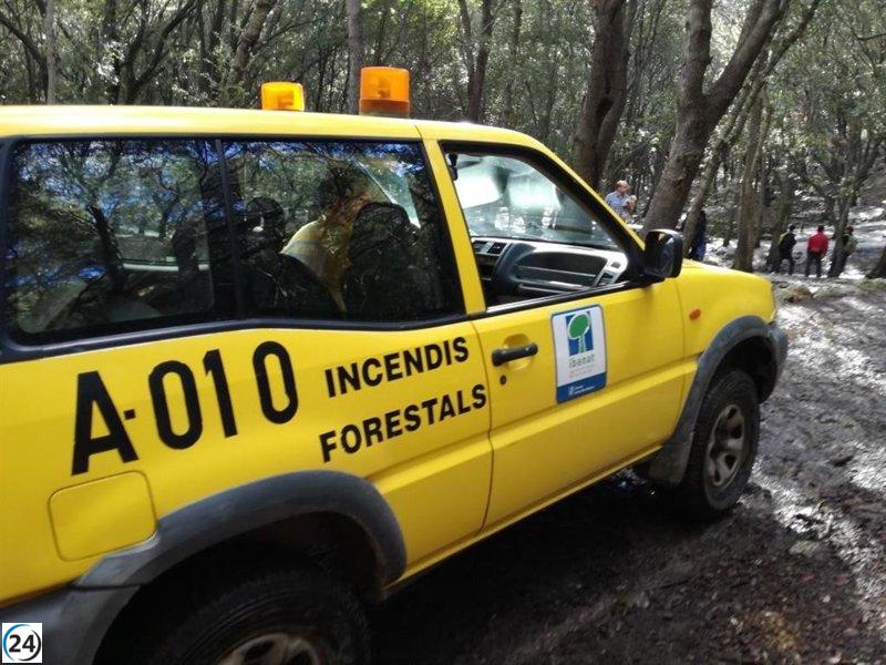 Incendios forestales arrasan 248,67 hectáreas en Baleares hasta diciembre.