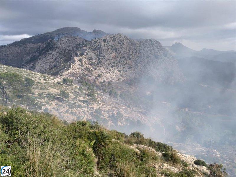 Incendio en Andratx consume 50 hectáreas de bosque y carrizal.