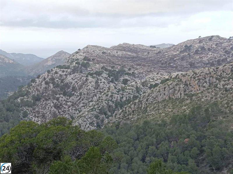 Incendio en Andratx controlado tras devastar 60 hectáreas de pinos y juncos.