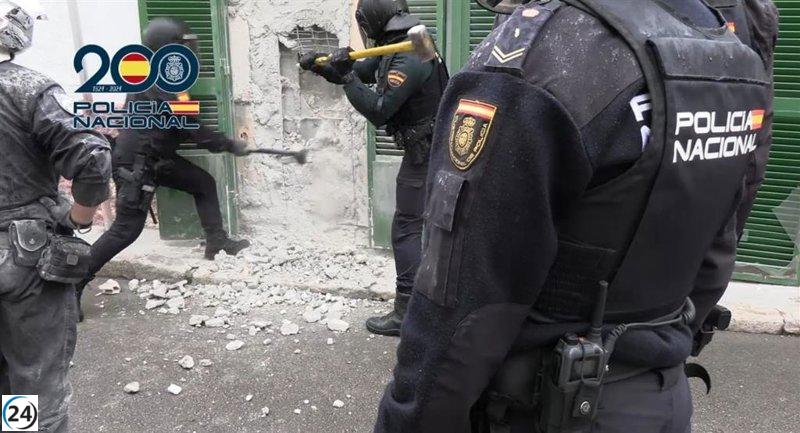 Cuerpo policial desmantela cultivo ilegal de marihuana en La Soledad y arresta a cinco sospechosos.