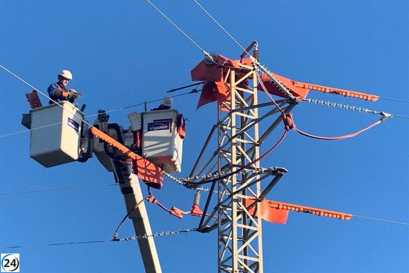 Endesa adapta más de 450 estructuras eléctricas en Baleares para salvaguardar las aves.