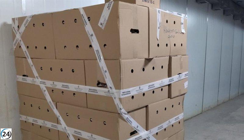 Intervienen 7,200 huevos de la Península por sospechas de fraude en su peso.