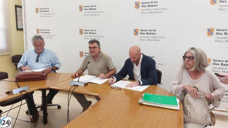 La granja de gallinas en Llucmajor enfrenta multas de hasta 420.000 euros y clausura de instalaciones por irregularidades.