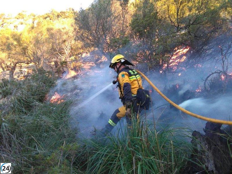 Incendios forestales arrasan 0,44 hectáreas en Baleares en 2023.
