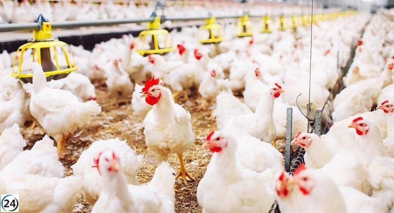 Nueva ley de macrogranjas elimina el catalán en sanidad y da luz verde a los campos de polo.