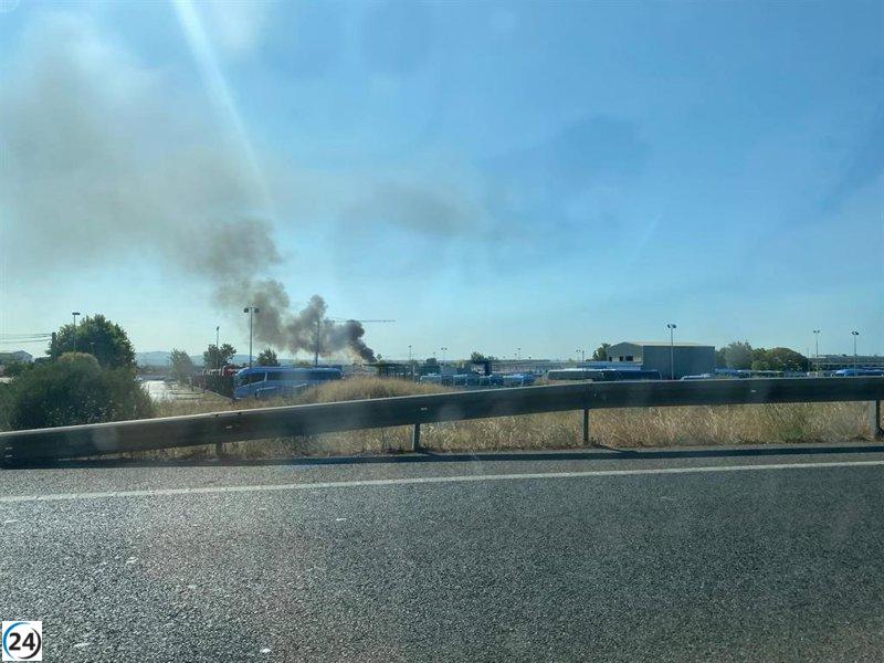 Bomberos de Palma combaten fuego en Son Banya.