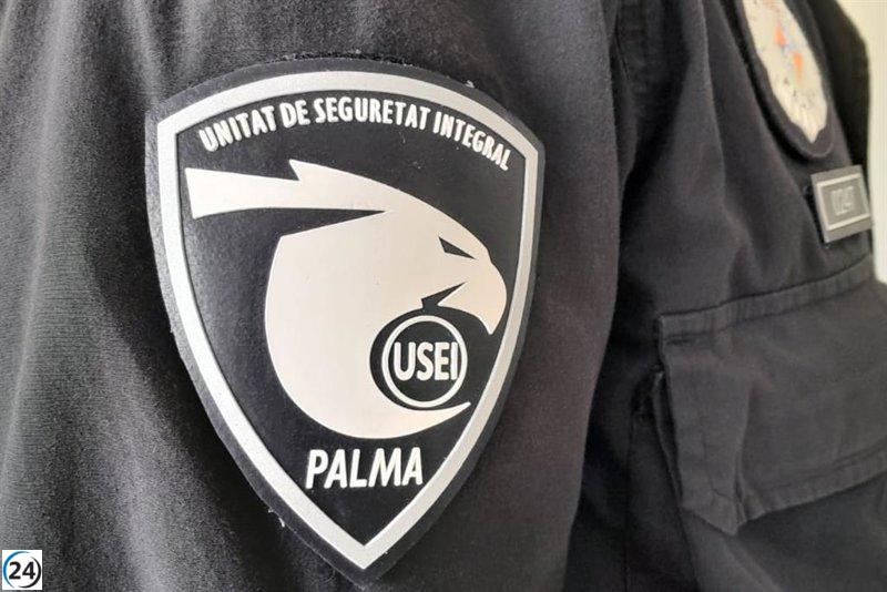 Arresto en Palma tras amenazas a una mujer y agresión a una policía.