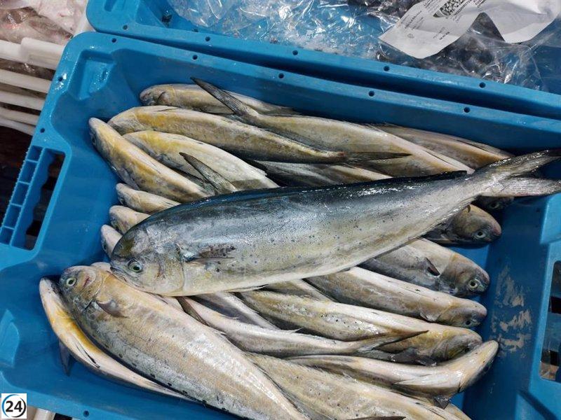 Impacto del cambio climático: se prevé una caída del 40% en la biomasa de peces comerciales en Europa para 2100.