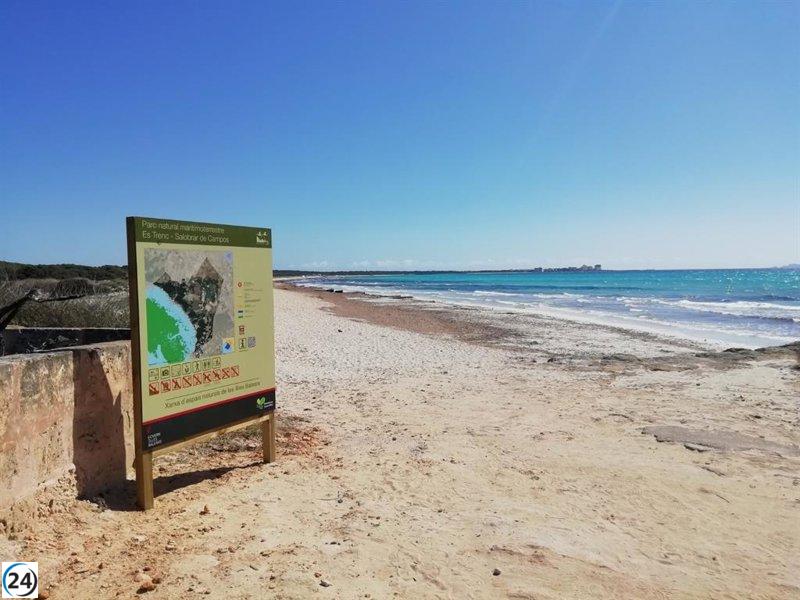 Greenpeace alerta sobre la amenaza del cambio climático: las playas de Baleares podrían perder hasta 30 metros de ancho.