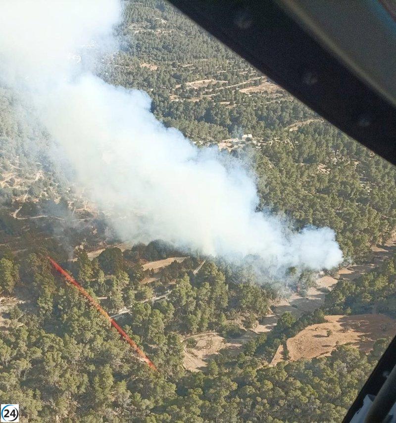 Se registra un incendio forestal en Cala d'Hort.