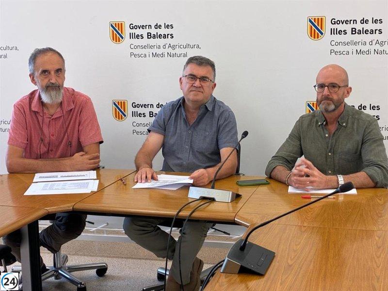 Las ayudas de la PAC 2024 se distribuyen un 15% más velozmente que en 2023, alcanzando los 36,5 millones.