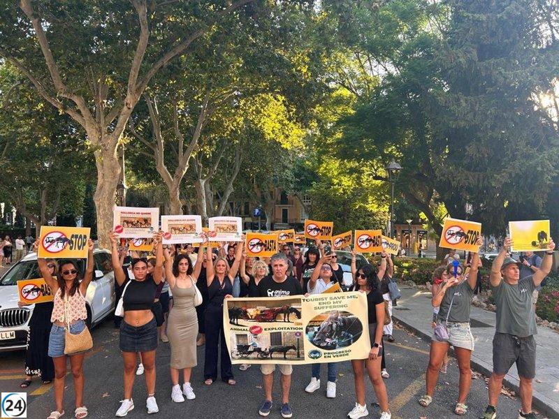 Miles de manifestantes en Palma piden la abolición de las calesas tiradas por caballos.