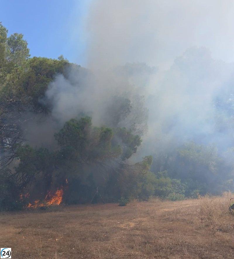 Lucha contra el fuego en los bosques de Sant Joan, Ibiza.