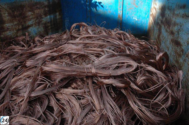 Sustracción de 120 metros de cable de luz en el polígono agroalimentario de Manacor.