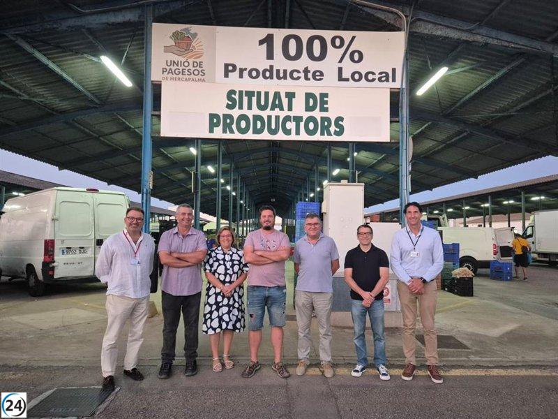 Mercapalma abre sus puertas a un nuevo mercado de productores mallorquines.