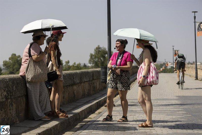 Mallorca bajo alerta amarilla por altas temperaturas a partir de hoy al mediodía.