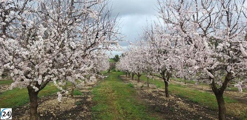 El Govern invertirá seis millones en una finca rural para promover la investigación agrícola.