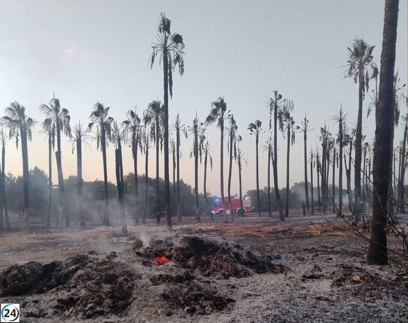 Desalojados por incendio en Manacor retornan a sus hogares; no hubo daños en las viviendas.