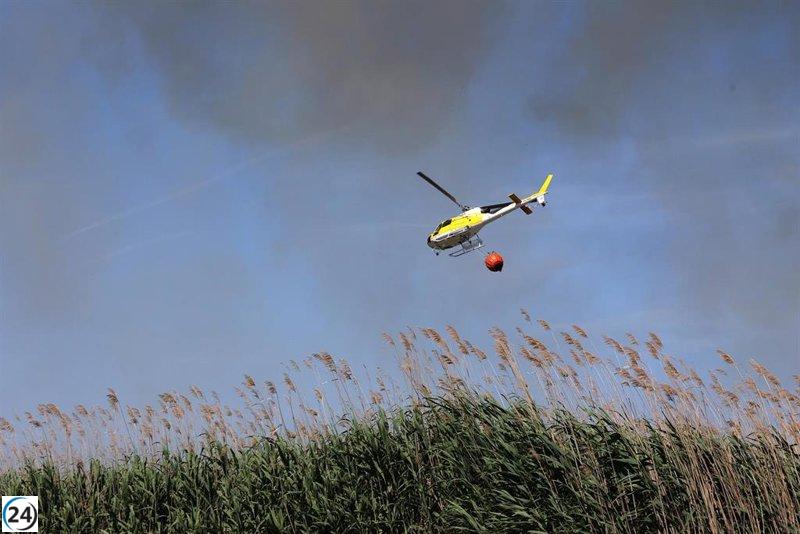 Incendio forestal en s'Albufera: dos de los tres focos bajo control.