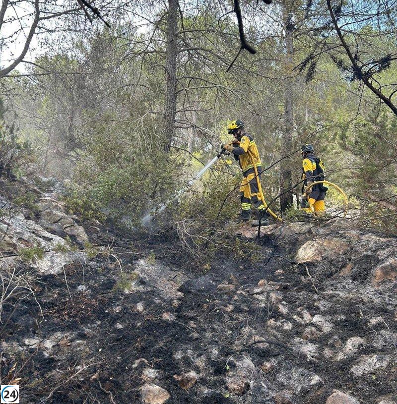 Incendio en Sant Joan de Labritja arrasa 0,087 hectáreas de bosque pero ya ha sido controlado.