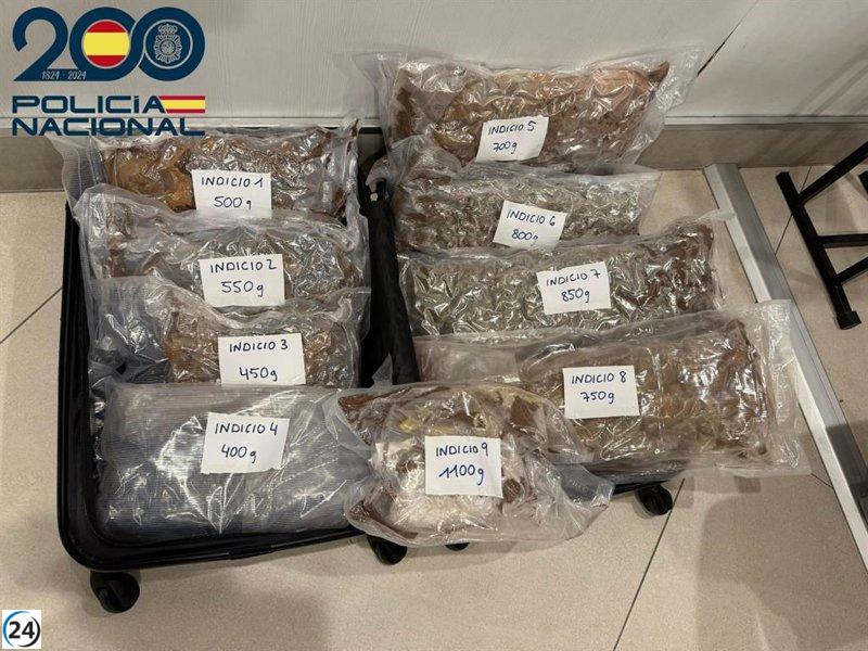 Tres arrestados con más de seis kilos de drogas en ferry de Barcelona a Palma.