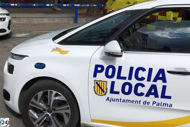 Joven arrestado en Palma por asalto para robar dos perfumes valorados en 240 euros.