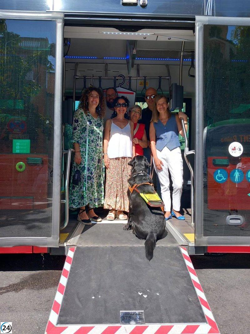 El Govern lanza un innovador sistema de audio en los buses TIB para apoyar a personas con discapacidad visual.