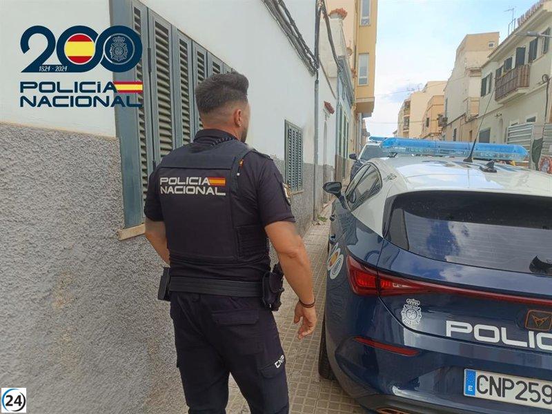 Dos jóvenes arrestados por entrar a robar en una vivienda de Porto Pi.