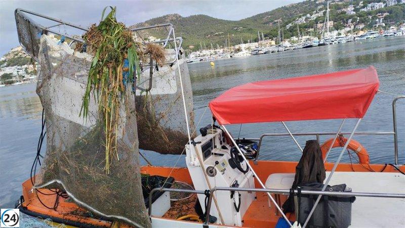 Cerca de ocho toneladas de basura limpiadas en las playas de Baleares en septiembre.